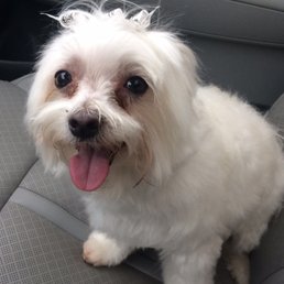 Spa day for Sassy Pants!