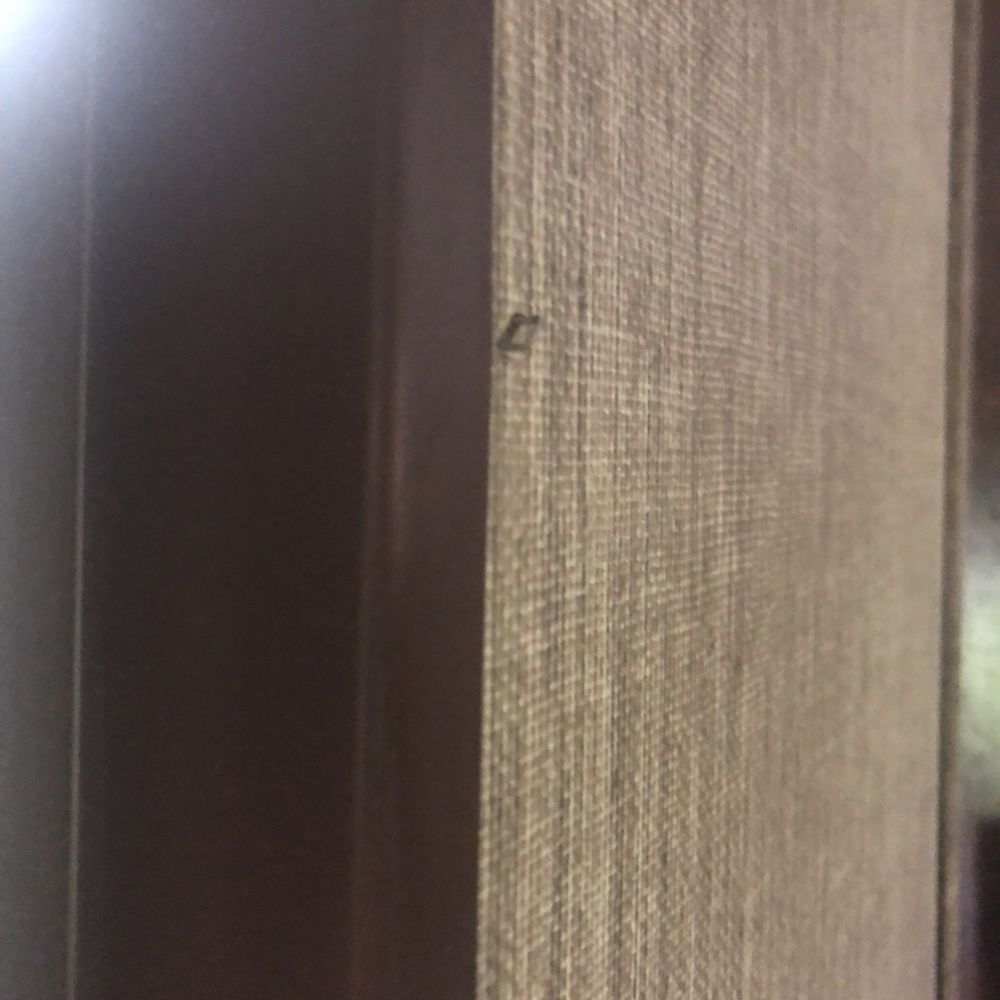 Lifestyle RVs - Staples in the wall coming out - RV Dealers Near Me - Grain Valley, Missouri