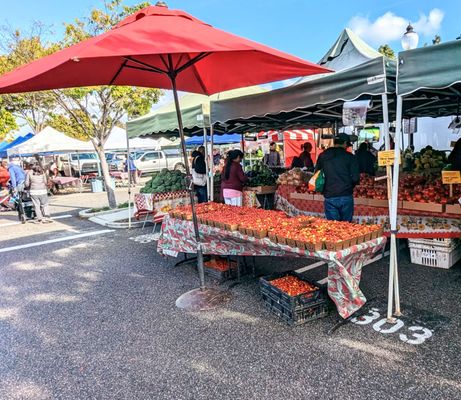 MOUNTAIN VIEW FARMERS’ MARKET - 733 Photos & 422 Reviews - 600 W Evelyn
