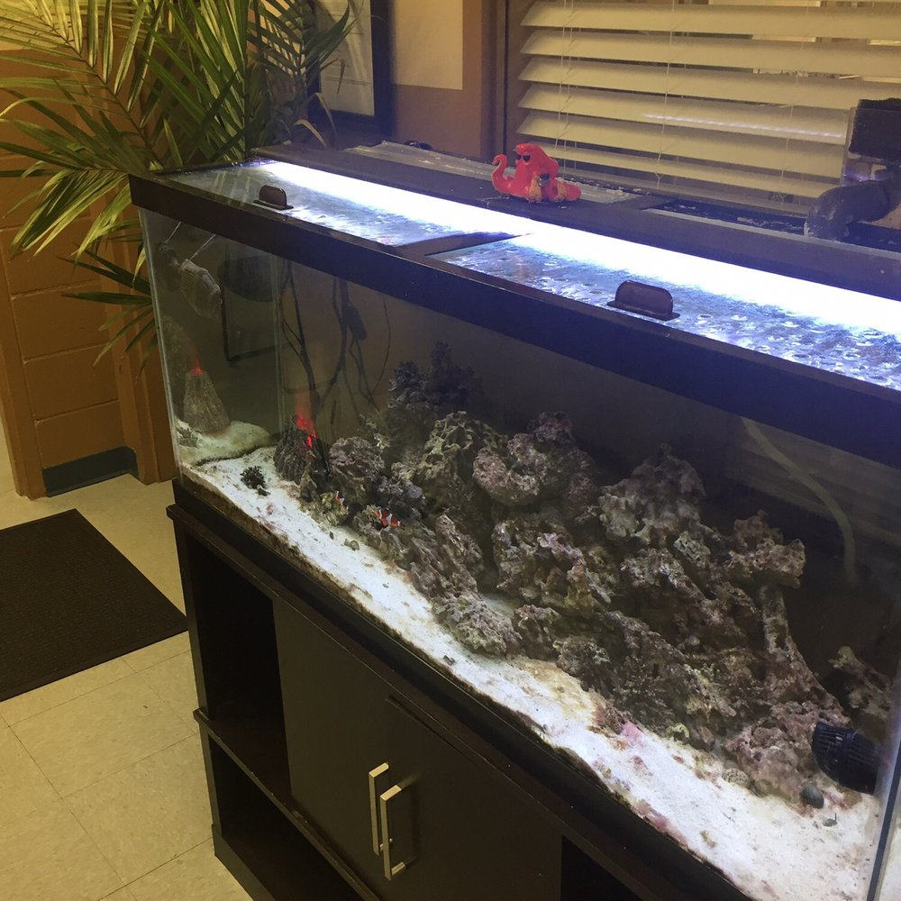 Meridian Elementary School - In lobby. Community fish. - Elementary Schools Near Me - Meridian, Idaho Meridian Elementary School - In lobby. Community fish. - Elementary Schools Near Me - Meridian, Idaho