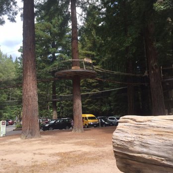 Redwoods Treewalk & Nightlights - Parks Near Me - Rotorua, BOP