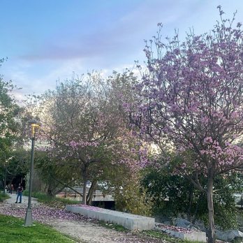 Hillcrest Park - Parks Near Me - Fullerton, California