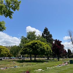 Holy Sepulchre Cemetery and Funeral Center - Beautiful day!