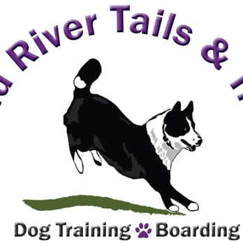 Wind River Tails & Trails - Home of our world-famous Karelian Bear Dog Wildlife Service Dogs - Pet Sitting Near Me - Florence, Montana Wind River Tails & Trails - Home of our world-famous Karelian Bear Dog Wildlife Service Dogs - Pet Sitting Near Me - Florence, Montana