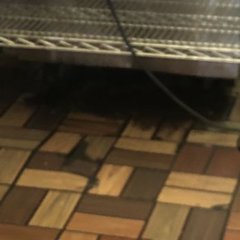 Sweetwater Express - The nasty floor - Chicken Wings Near Me - Southfield, Michigan