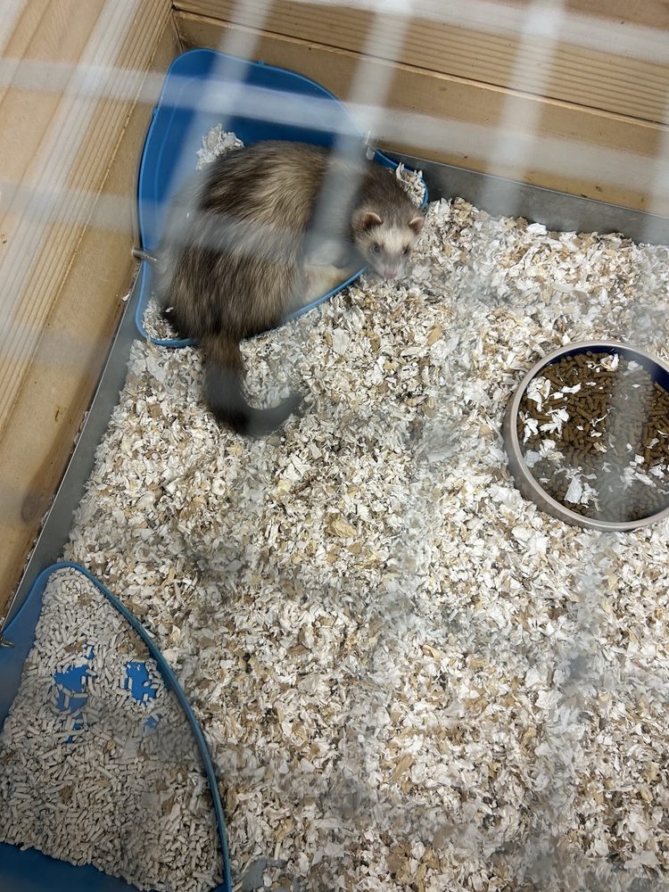 Pet World Warehouse Outlet - reptile breeding in Menomonee Falls, WI