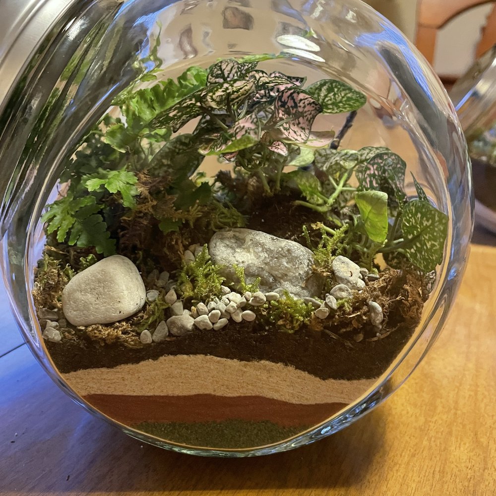 Jardin Terrariums - Turned out really well! - Art Supplies Near Me Jardin Terrariums - Turned out really well! - Art Supplies Near Me