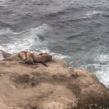 La Jolla Cove - Parks Near Me - La Jolla, California