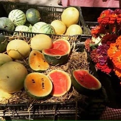 McCarren Park Farmers Market - The cutest tiniest watermelons!