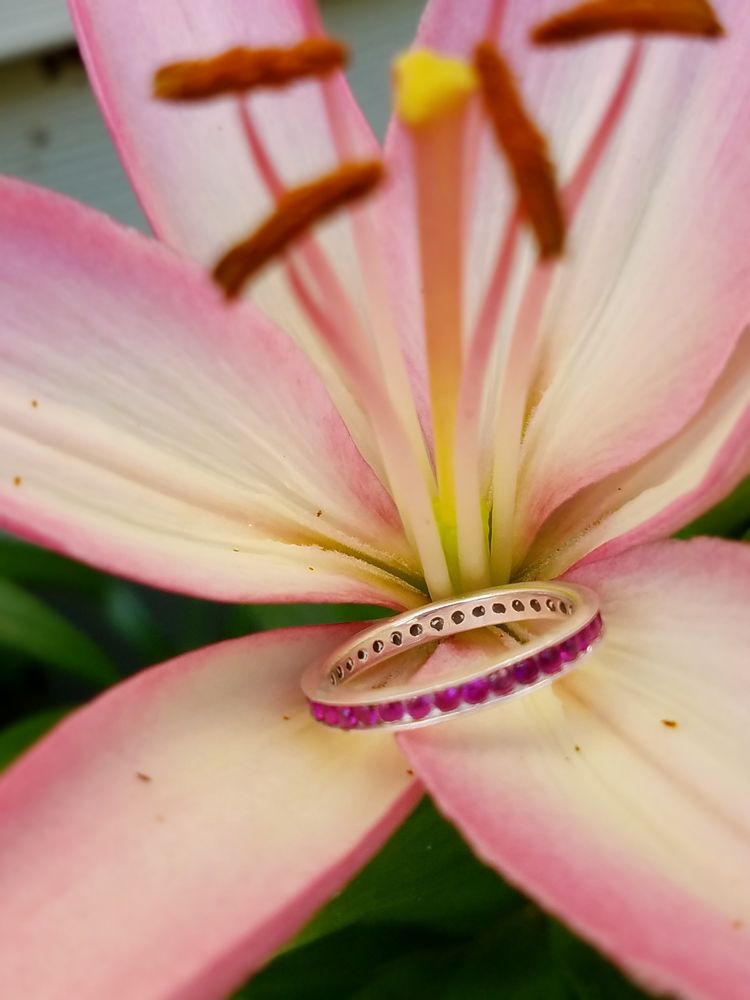 TOE RING EXPRESSIONS 15 Photos 203 W Commerce St, Smyrna, DE Yelp