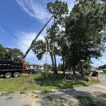 Grey Hat Tree Service and Landscaping - a man on a crane - Tree Services Near Me Grey Hat Tree Service and Landscaping - a man on a crane - Tree Services Near Me