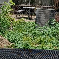 Gray's Outdoor Services