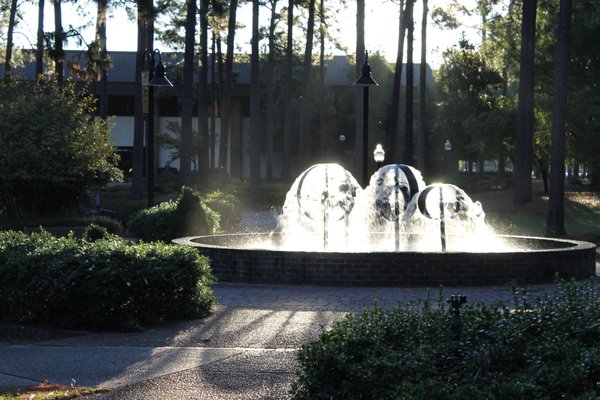 University of South Carolina Aiken by null