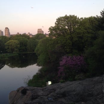 Central Park Sunset Tours - Walking Tours Near Me - New York, New York