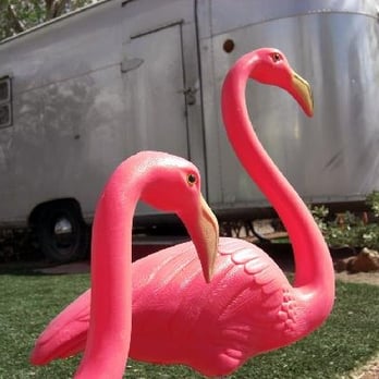 The Shady Dell - Flamingos - Hotels Near Me - Bisbee, Arizona