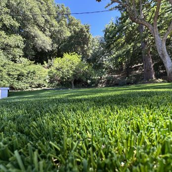 California Turf Supply - Diamond Pro Fescue, Los Gatos, Ca - Artificial Turf Near Me California Turf Supply - Diamond Pro Fescue, Los Gatos, Ca - Artificial Turf Near Me