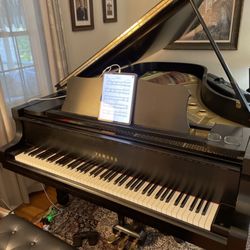 Hayden's Piano Service - Our own Yamaha C7 semi-Concertgrand