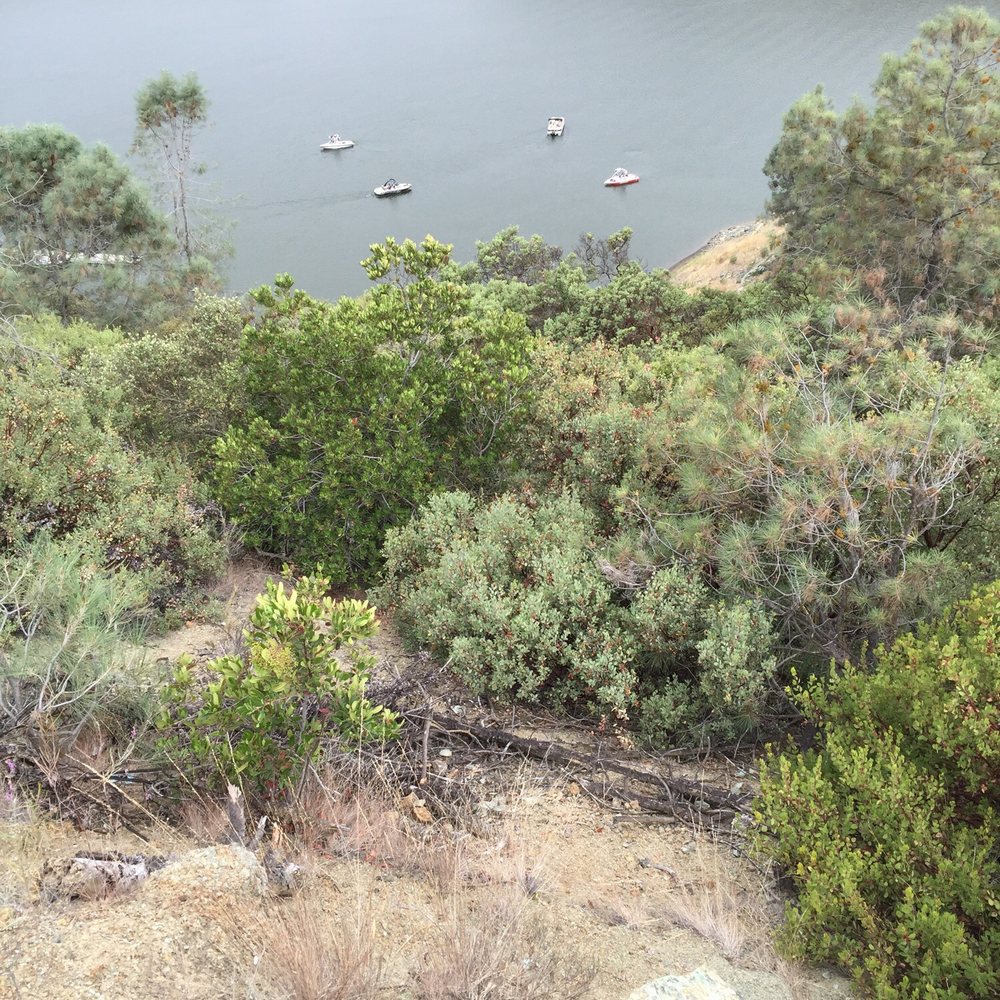 Anderson Lake County Park - Parks Near Me - Morgan Hill, California Anderson Lake County Park - Parks Near Me - Morgan Hill, California