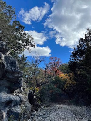 Lost Maples State Natural Area by null