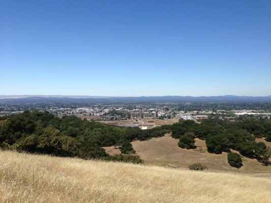 Taylor Mountain Regional Park by null