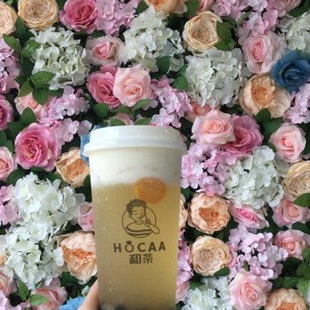 Hocaa Bubble Tea - Bubble Tea Near Me - Bethlehem, Pennsylvania