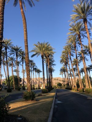 The Citrus Club at PGA WEST by null