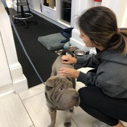 The gym mascot