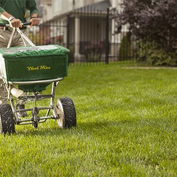 Weed Man - a man mowing the lawn with a lawn spreader - Lawn Services Near Me Weed Man - a man mowing the lawn with a lawn spreader - Lawn Services Near Me