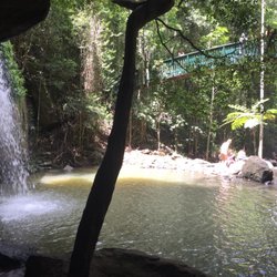 Buderim Forest Park