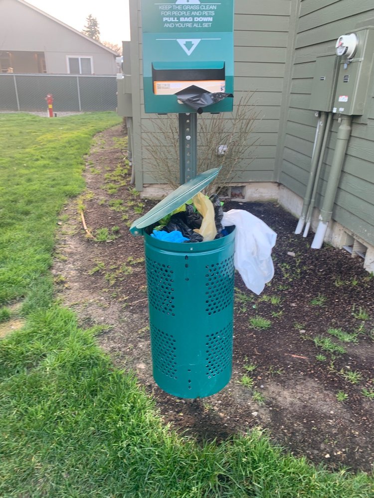 PLUMTREE LUXURY APARTMENTS Updated August 2024 3517 Hill St, Albany