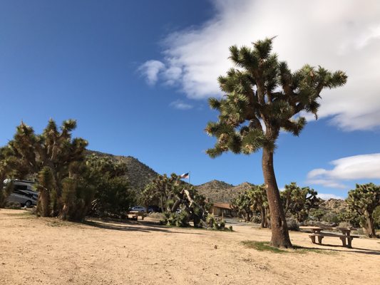 Black Rock Canyon Campground by null