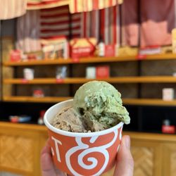 Salt & Straw - Creepy crawly critters and coffee and love nuts