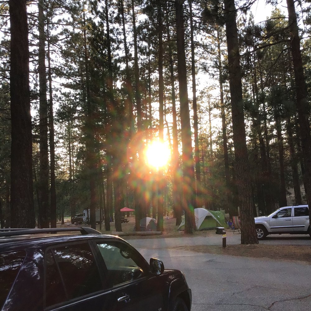 Barton Flats Campground - Campgrounds Near Me - San Bernardino, California