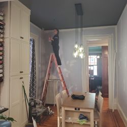 Beauty Walls and Floor - Dining room painting
woman painter