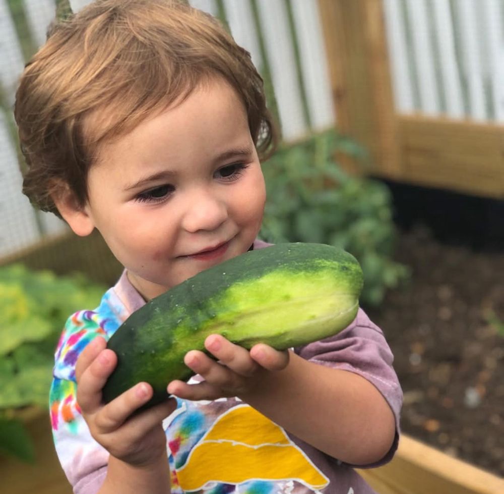 The Goddard School of Creve Coeur - childcare center in Creve Coeur, MO