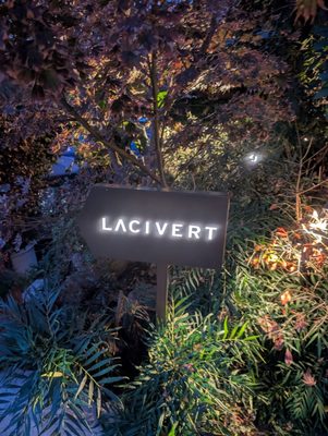 Lacivert by null