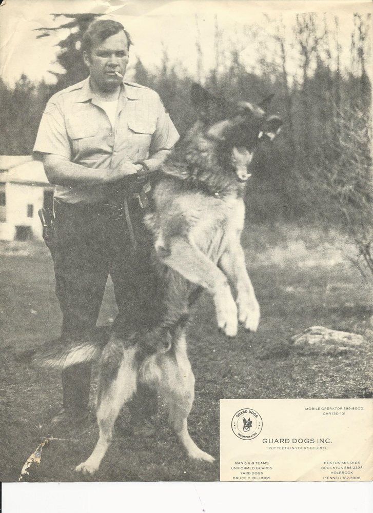 CANINE COLLEGE Updated September 2024 15 Photos & 36 Reviews 70