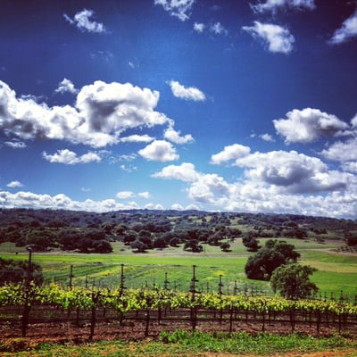 Stolpman Vineyards - Los Olivos Tasting Room by null