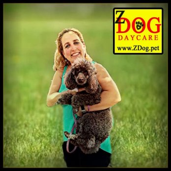 Z Dog Daycare - Z Dog : Philly's best family run pet care, where we care for your pets like family. - Dog Walkers Near Me - Philadelphia, Pennsylvania Z Dog Daycare - Z Dog : Philly's best family run pet care, where we care for your pets like family. - Dog Walkers Near Me - Philadelphia, Pennsylvania