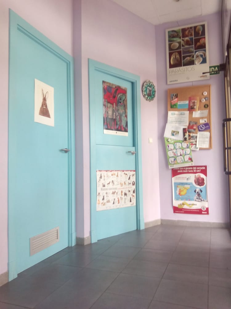 CLÍNICA VETERINARIA LA MILAGROSA Updated April 2024 Calle Doctor