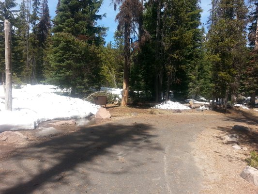 Mazama Village Campground & Cabins by null