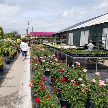 PERINO’S HOME & GARDEN CENTER - Updated July 2025 - 183 Photos & 58 ...