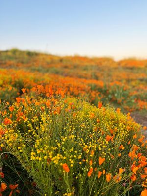 Walker Canyon by null