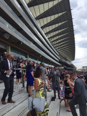 Ascot Racecourse by null