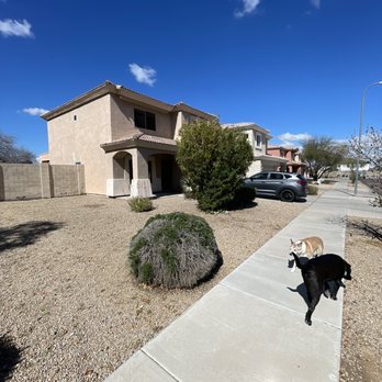 Associated Asset Management - Another angle. Bushes and weeds nowhere to be seen. This HOA are thrives ripping off people who actually try to do their part. - Property Management Near Me - Tempe, Arizona