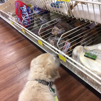 Pet Supermarket - Pet Stores Near Me - Lexington, South Carolina Pet Supermarket - Pet Stores Near Me - Lexington, South Carolina