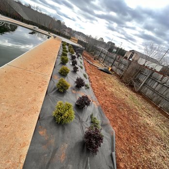 Prominence Contracting - a row of plants growing in a pond - Masonry/Concrete Near Me