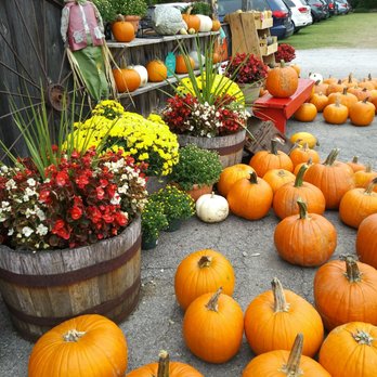 Petch Orchard - a display of pumpkins and flowers - Farmers Market Near Me - Hemmingford, Quebec Petch Orchard - a display of pumpkins and flowers - Farmers Market Near Me - Hemmingford, Quebec