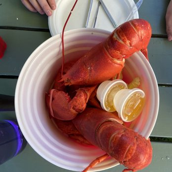 Rose Eden Lobster - Seafood Near Me - Bar Harbor, Maine Rose Eden Lobster - Seafood Near Me - Bar Harbor, Maine