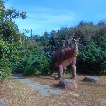 Jerrassic Park - Parks Near Me - Virginia Beach, Virginia